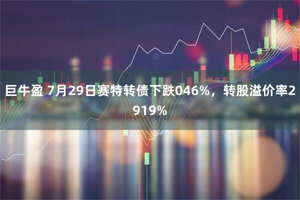 巨牛盈 7月29日赛特转债下跌046%，转股溢价率2919%