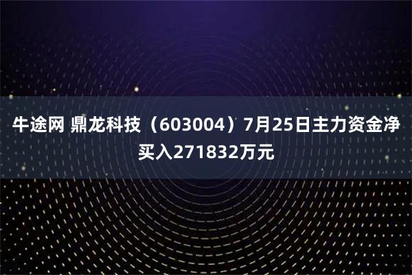 牛途网 鼎龙科技（603004）7月25日主力资金净买入271832万元