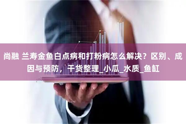 尚融 兰寿金鱼白点病和打粉病怎么解决？区别、成因与预防，干货整理_小瓜_水质_鱼缸
